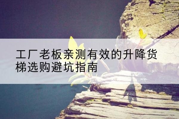广平升降货梯怎么选-工厂老板亲测有效的升降货梯选购避坑指南