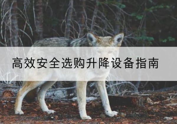 广平升降货梯厂家推荐-*安全选购升降设备指南
