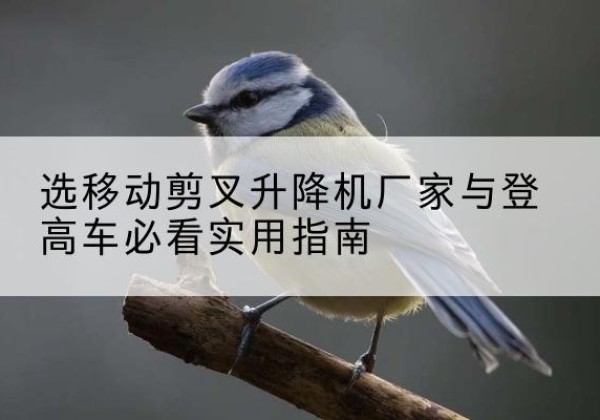 广平电动升降机厂家-选移动剪叉升降机厂家与登高车必看实用指南